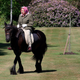 Illustration for article titled Meanwhile, the Queen Rode a Pony